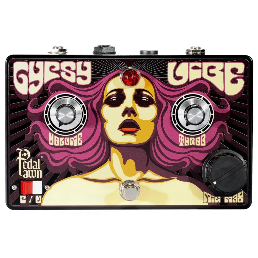 Gypsy Vibe Guitar Pedal By Pedal Pawn